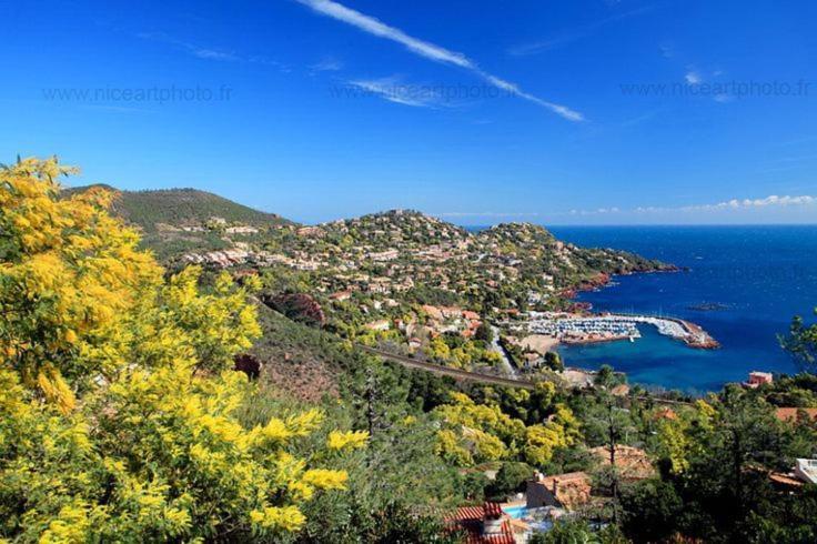 Studio 4P Vue Mer Calme Cap Esterel Saint-Raphaël Exterior foto